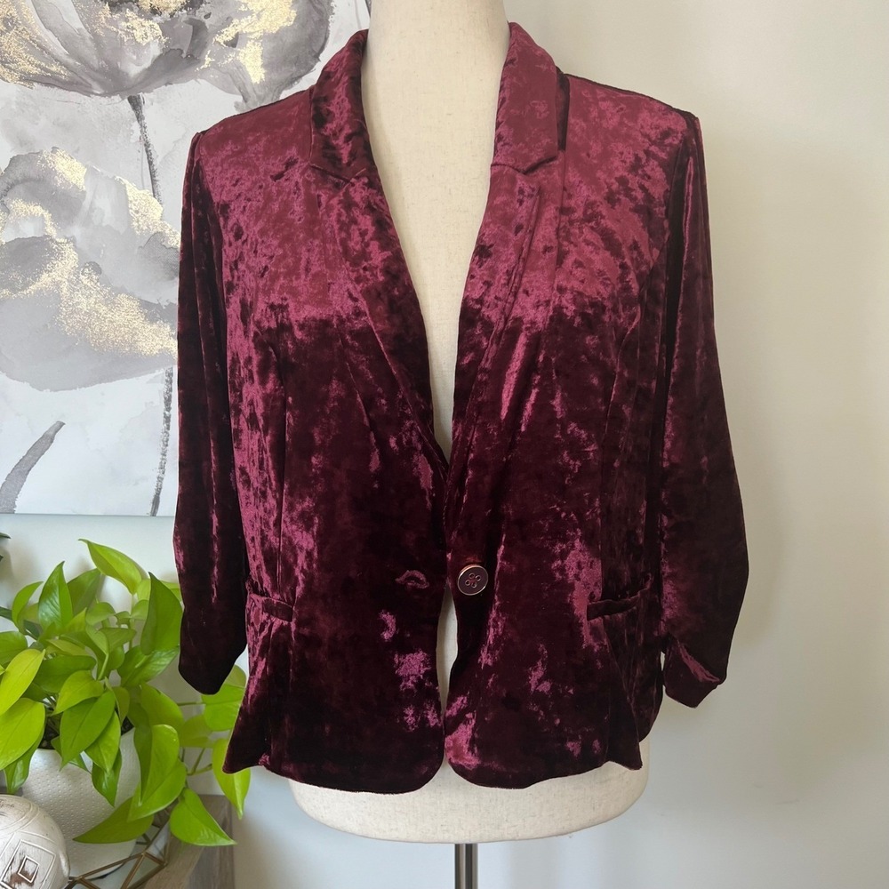 Burgundy Crushed Velvet Blazer Jacket Soft Grunge Romantic Goth‎ Dark Academia